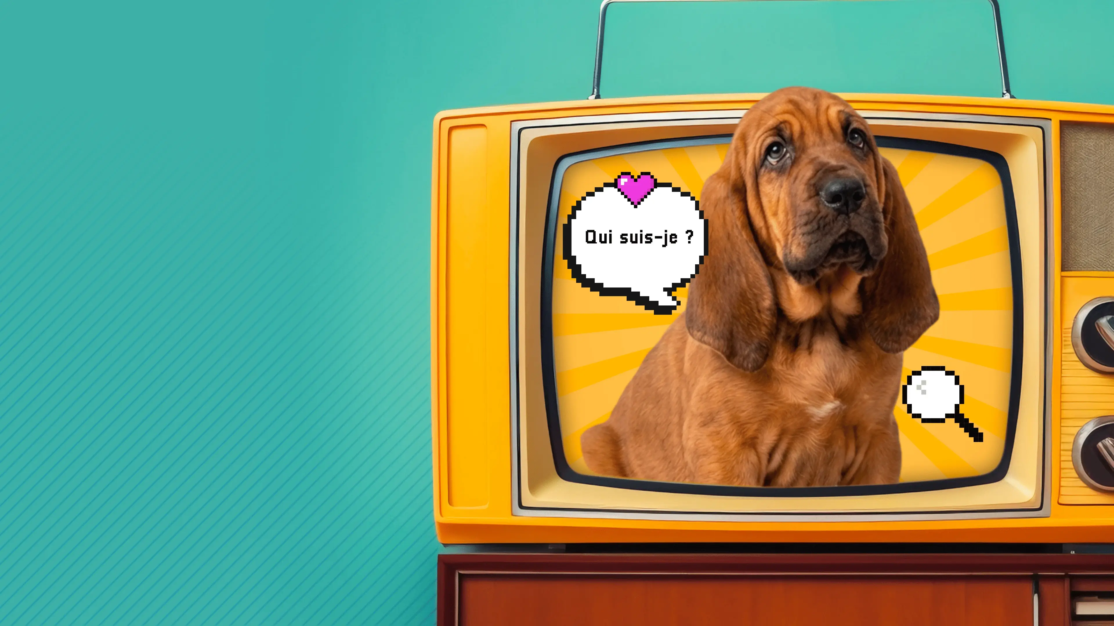 Pluto le chien